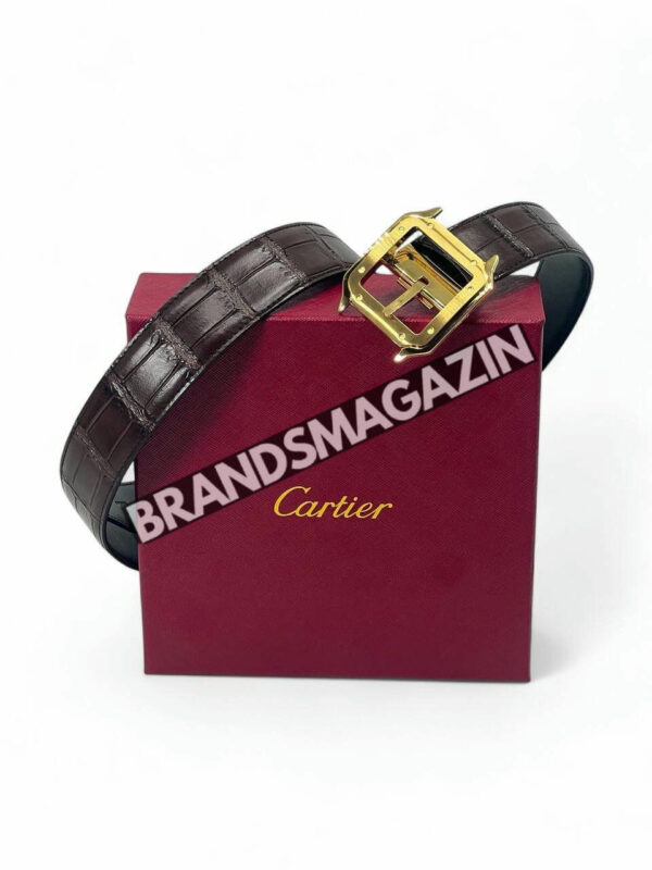 Ремень Cartier из кожи крокодила BM46807345677 3