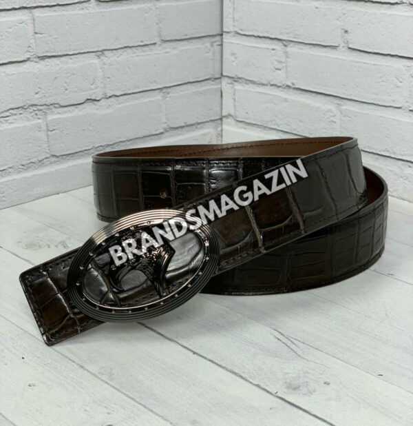 Ремень Stefano Ricci из кожи крокодила BM47450167477 2