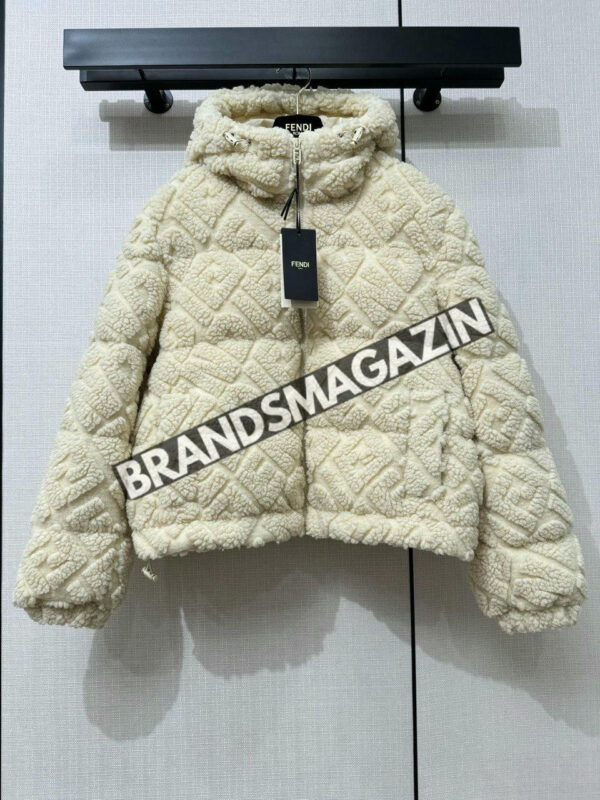 Пуховик Fendi BM46670846877