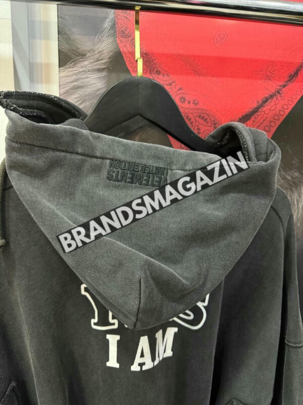 Толстовка Vetements BM46061535877 4