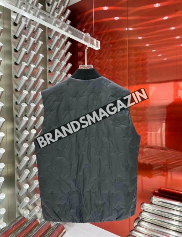 Безрукавка Louis Vuitton BM45840243277 2