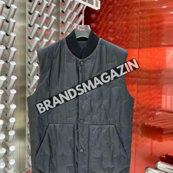 Безрукавка Louis Vuitton BM45840243277