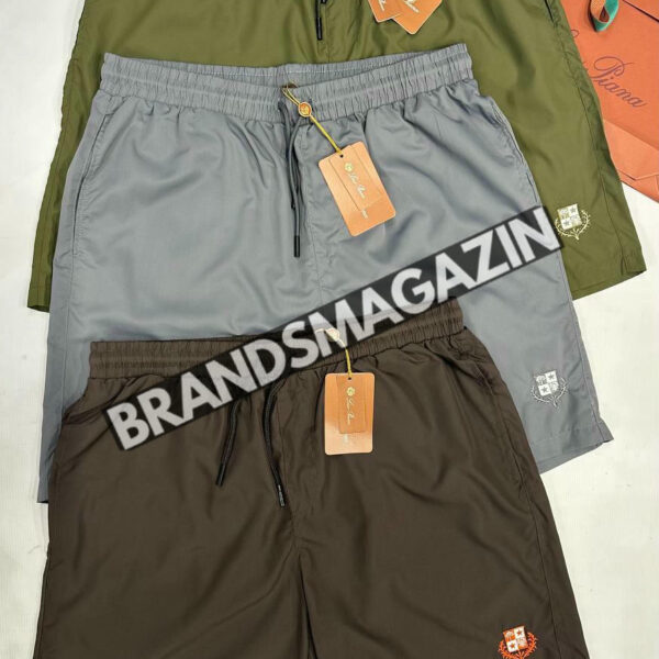Плавательные шорты Loro Piana без сетки BM72150477