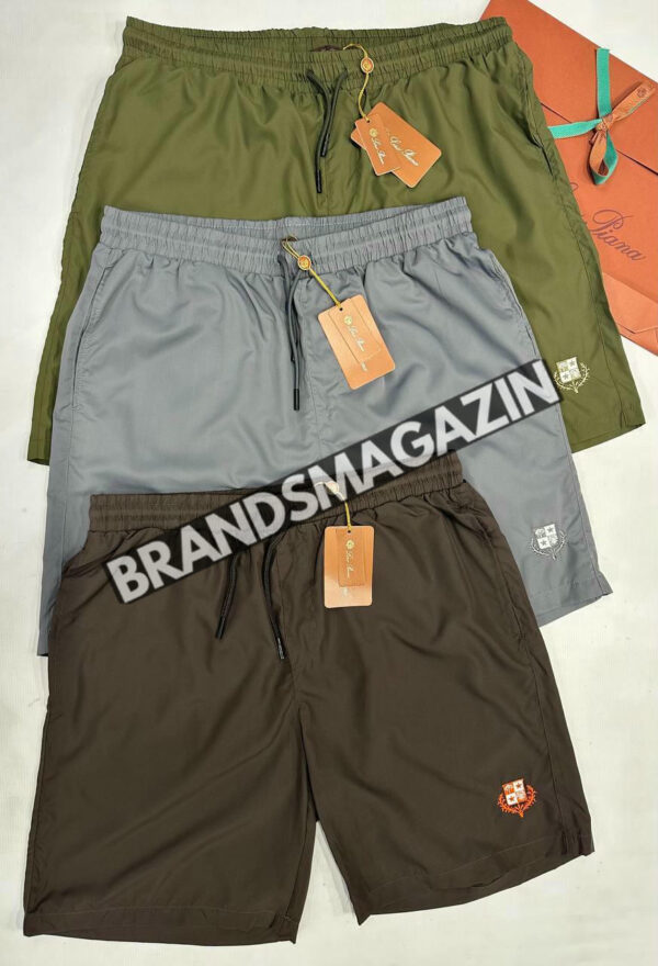 Плавательные шорты Loro Piana без сетки BM72150477