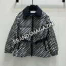 Пуховик Dior BM46235012877