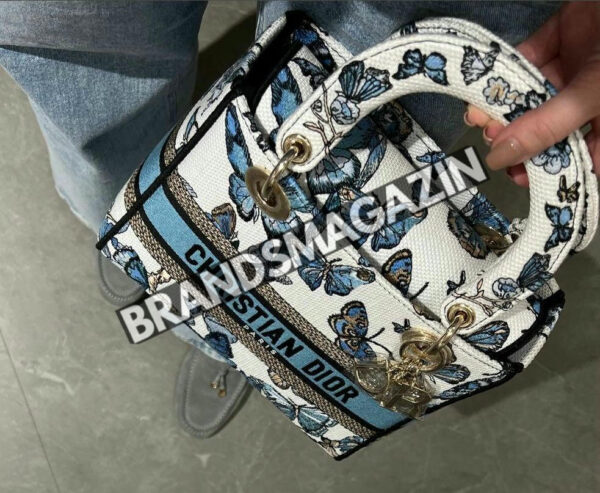 Сумка Dior 24 см BM70619377 5