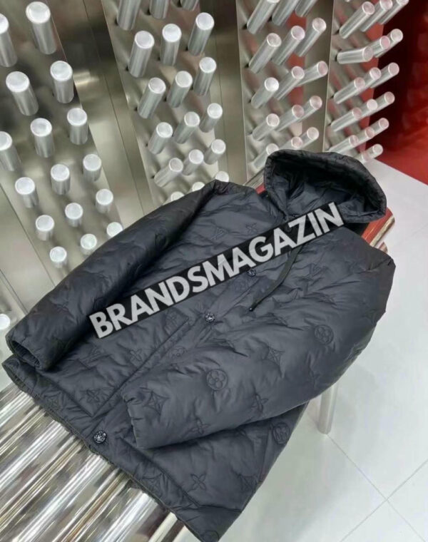 Пуховик Louis Vuitton BM46169782477 3