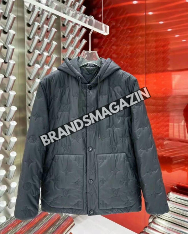 Пуховик Louis Vuitton BM46169782477