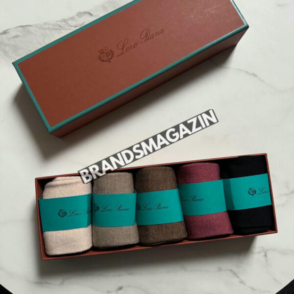 Набор носков Loro Piana BM46866501977 2
