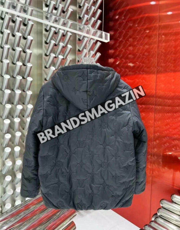 Пуховик Louis Vuitton BM46169782477 2