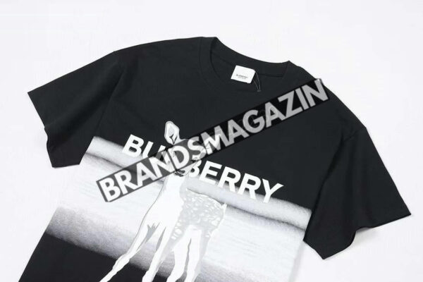 Футболка Burberry BM69442977 2