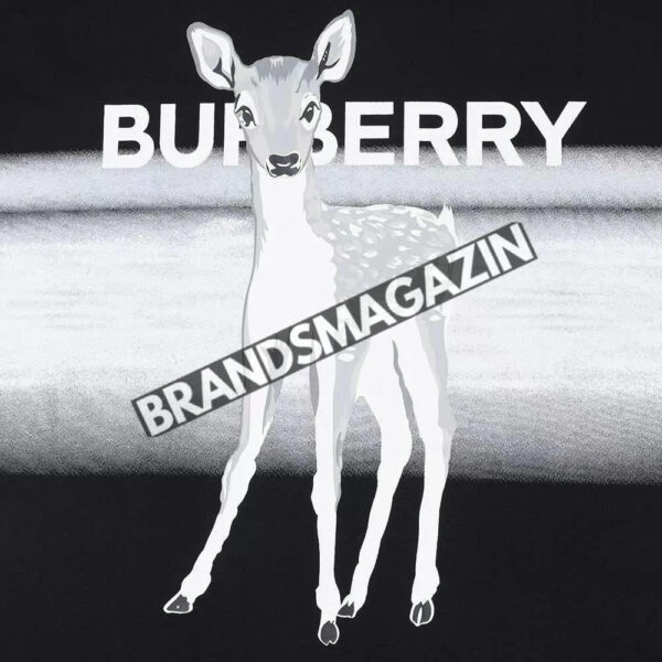 Футболка Burberry BM69442977 4