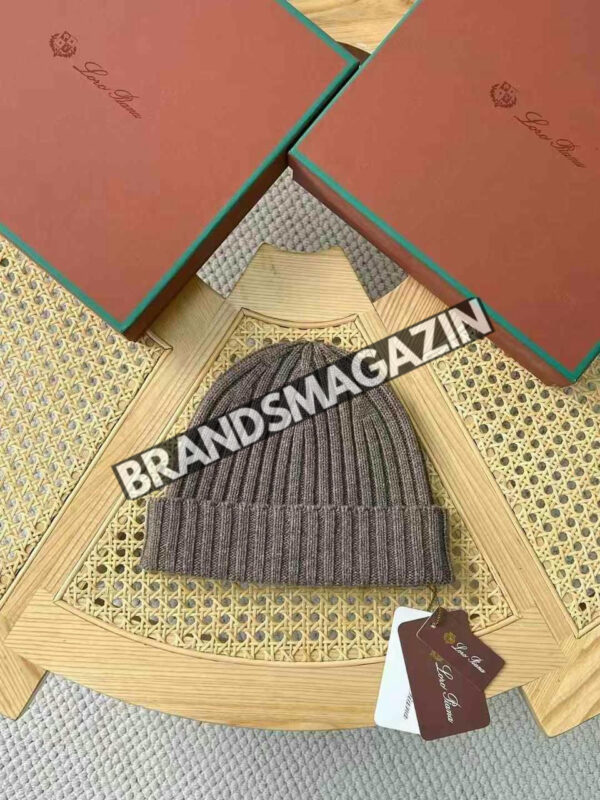 Шапка Loro Piana BM47450801377 3