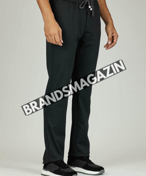 Брюки Loro Piana BM46293731177 Брюки Loro Piana BM46293731177