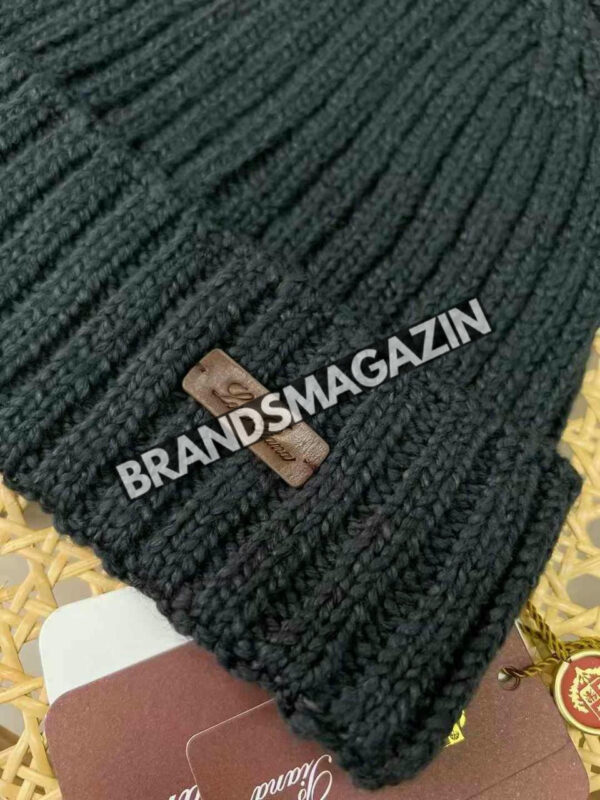 Шапка Loro Piana BM46976345477 3