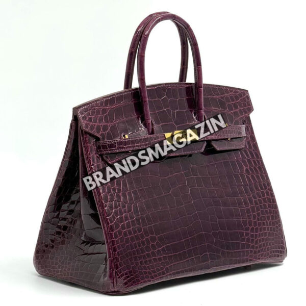 Сумка Hermes из кожи крокодила 35 см BM47058231977 4