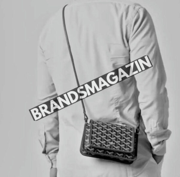 Сумка Goyard BM71227777
