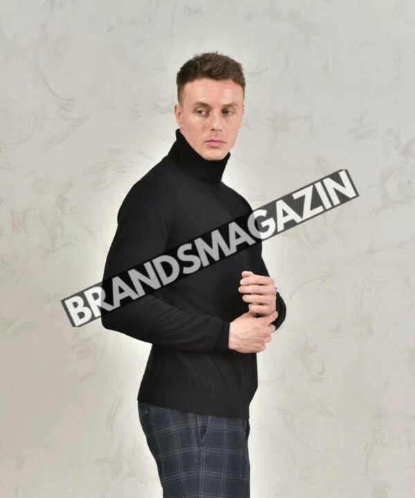 Водолазка Loro Piana BM46403218377 Водолазка Loro Piana BM46403218377