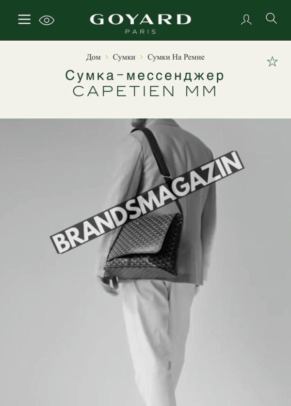 Сумка-мессенджер Goyard BM46362077977 2
