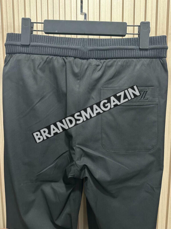 Штаны Zegna BM47569599377 3