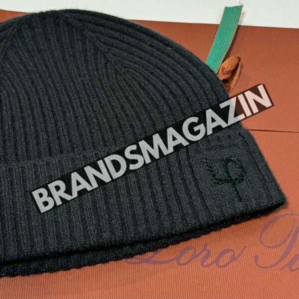 Шапка Loro Piana BM46783991077