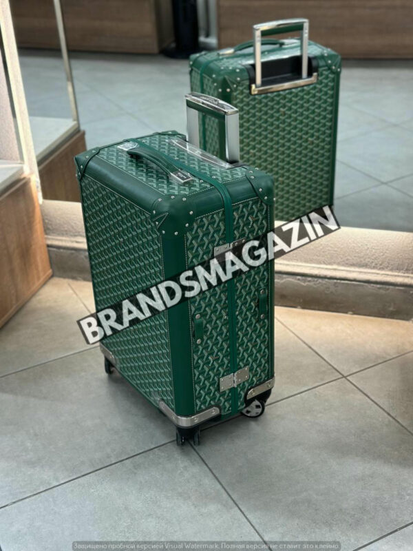 Чемодан Goyard ручная кладь BM68385777