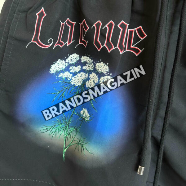 Шорты Loewe BM71448177 3