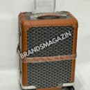 Чемодан Goyard BM69131577