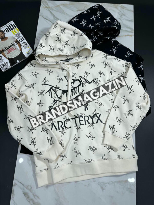 Худи Arc`teryx BM46651880377