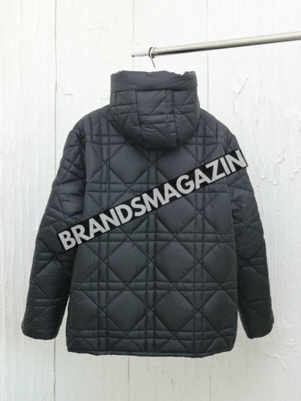 Пуховик Dior BM46479308577 2