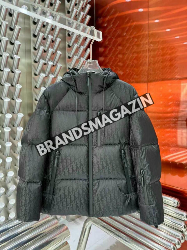 Пуховик Christian Dior BM46135214677