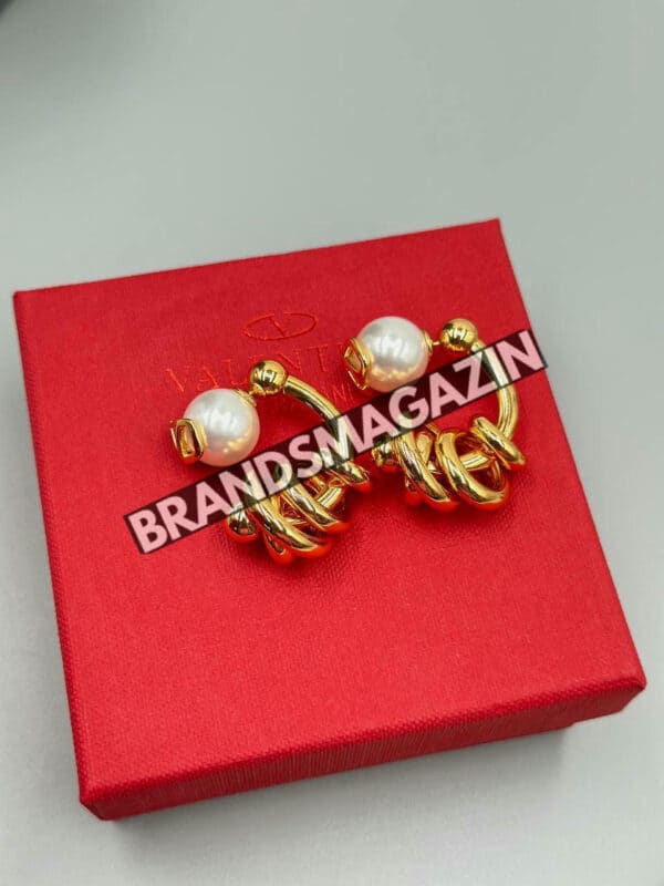 Серьги Valentino BM46590218977 3