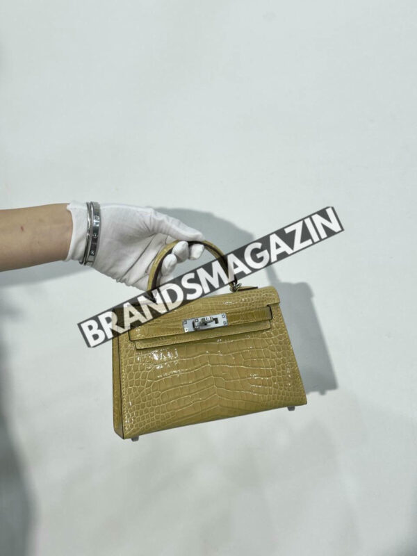 Сумка Hermes из кожи крокодила 20 см BM46622541177 2