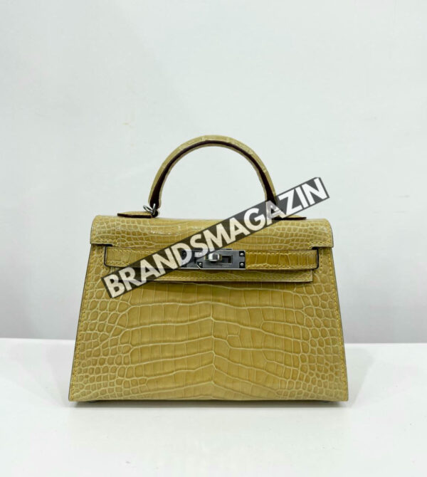 Сумка Hermes из кожи крокодила 20 см BM46622541177