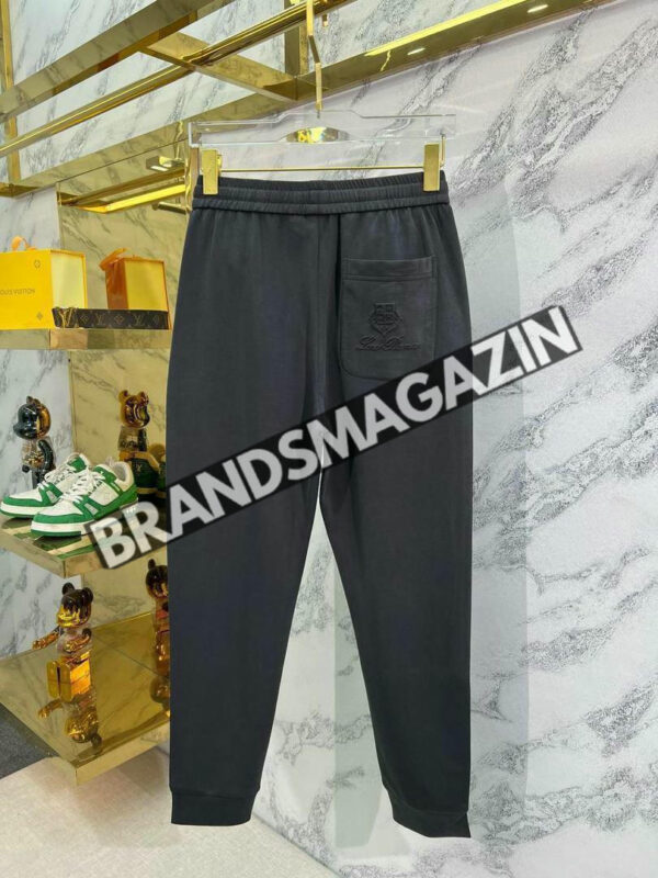 Спортивные штаны Loro Piana BM70609877 2