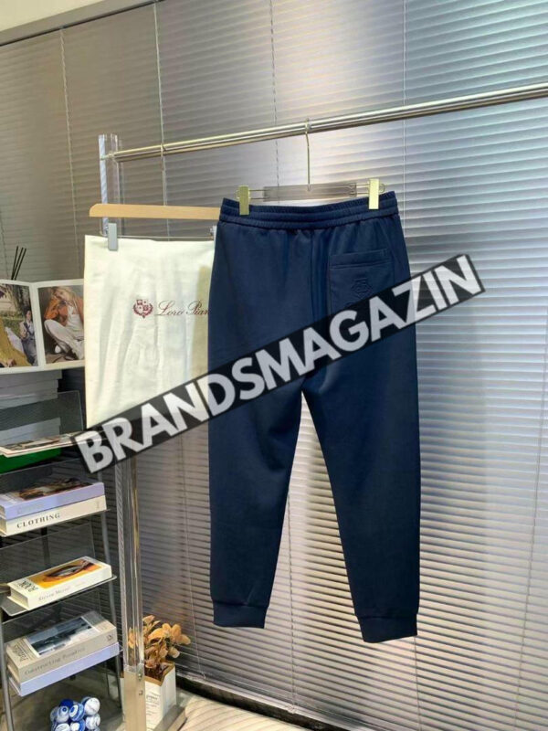 Спортивные штаны Loro Piana BM70609977 2