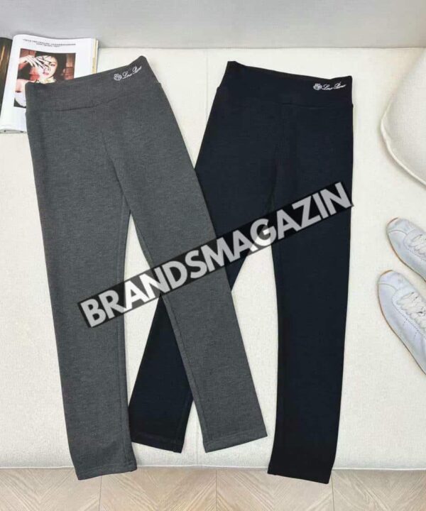 Леггинсы Loro Piana BM46874604577 Леггинсы Loro Piana BM46874604577