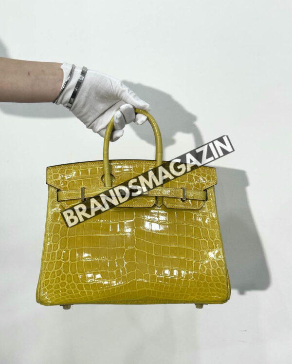 Сумка Hermes из кожи крокодила 25 см BM46622504477 3