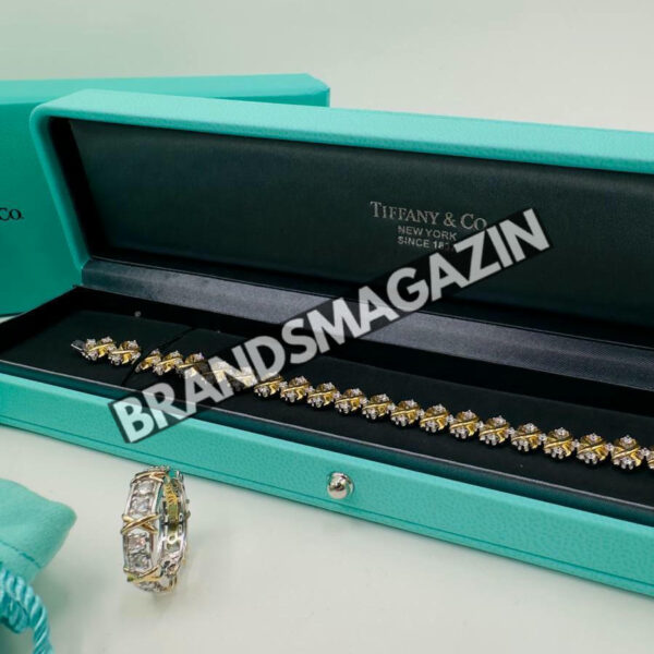 Браслет Tiffany & Co. BM46541718977