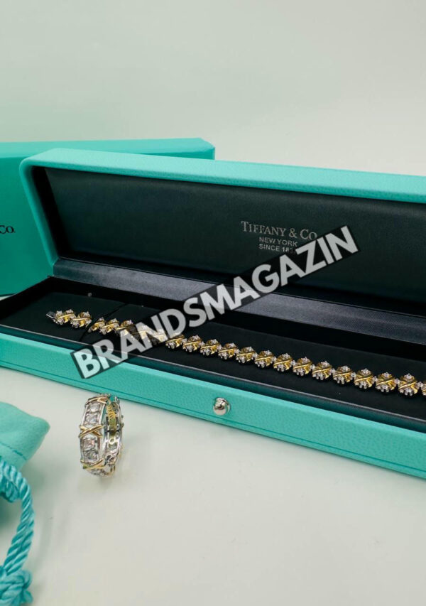 Браслет Tiffany & Co. BM46541718977