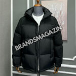 Пуховик Louis Vuitton BM46498379177
