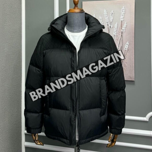 Пуховик Louis Vuitton BM46498379177