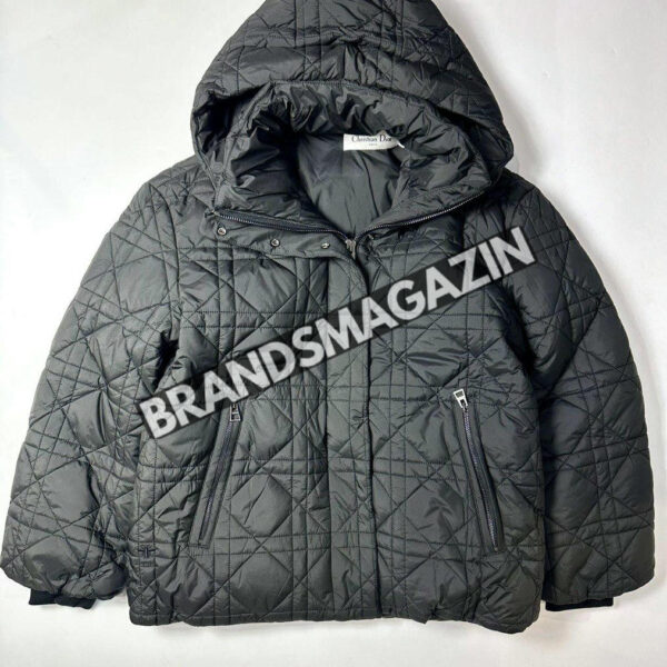 Пуховик Dior BM45739099577