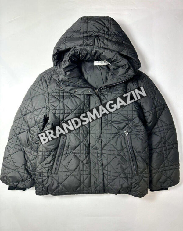 Пуховик Dior BM45739099577