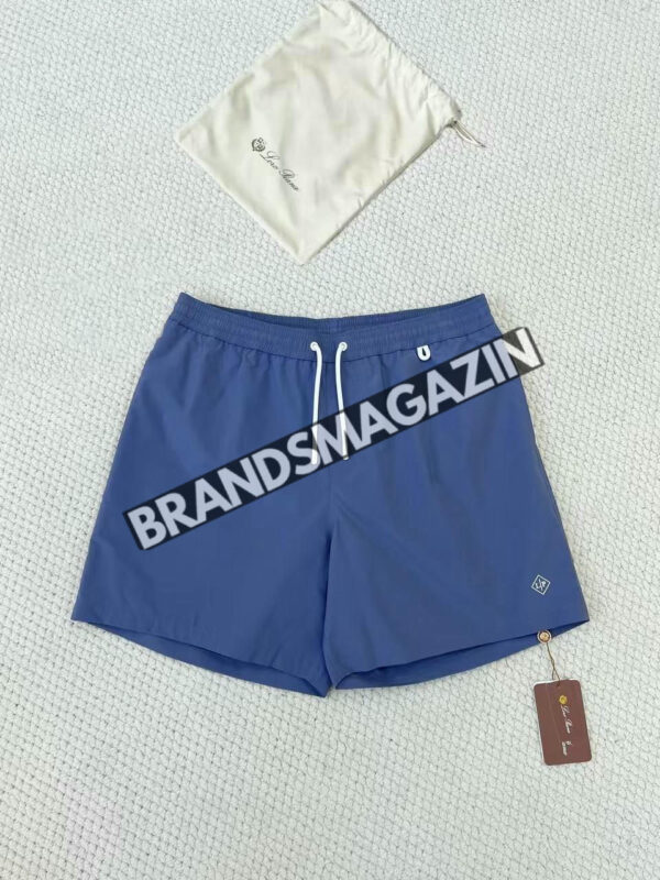 Купальные шорты Loro Piana BM47624481177 4