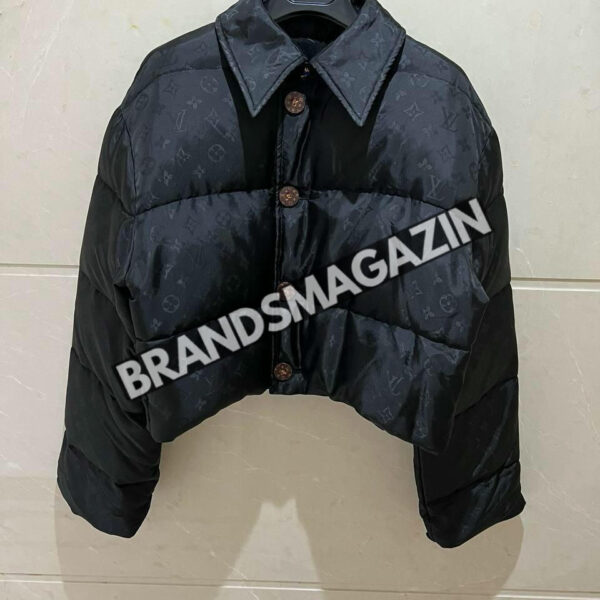 Куртка Louis Vuitton BM45985269977