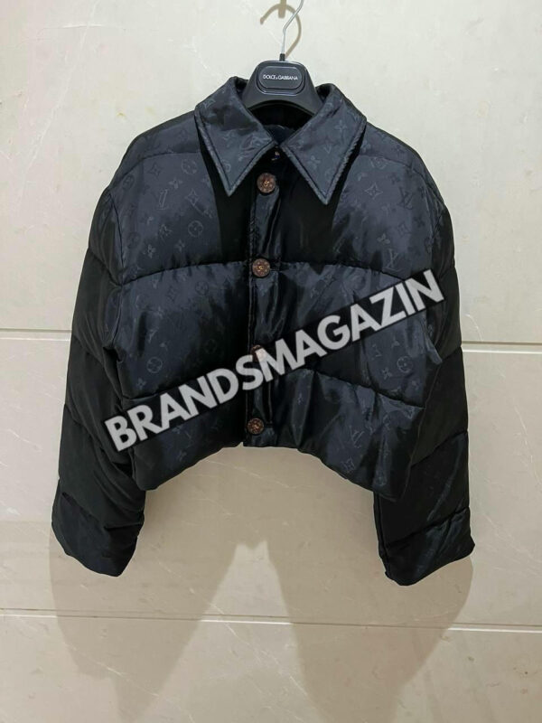 Куртка Louis Vuitton BM45985269977