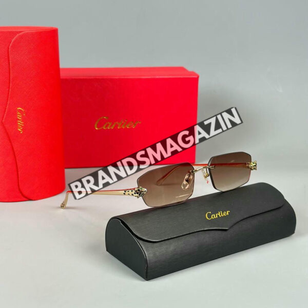 Очки Cartier BM46037618877