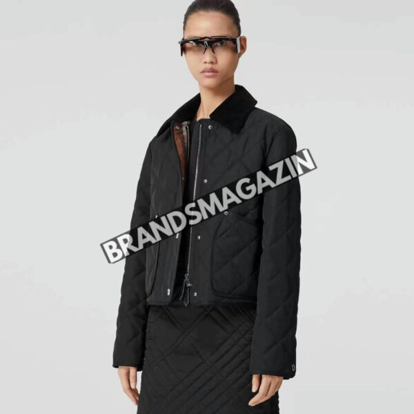 Куртка Burberry BM7366077