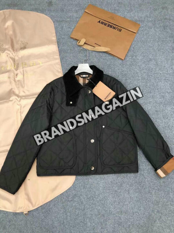 Куртка Burberry BM7366077 4